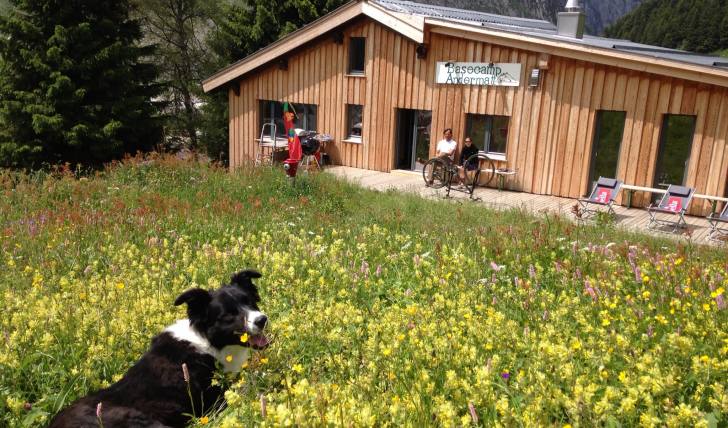 Bike hostel in the swiss alps. Sunny terrace for bbq